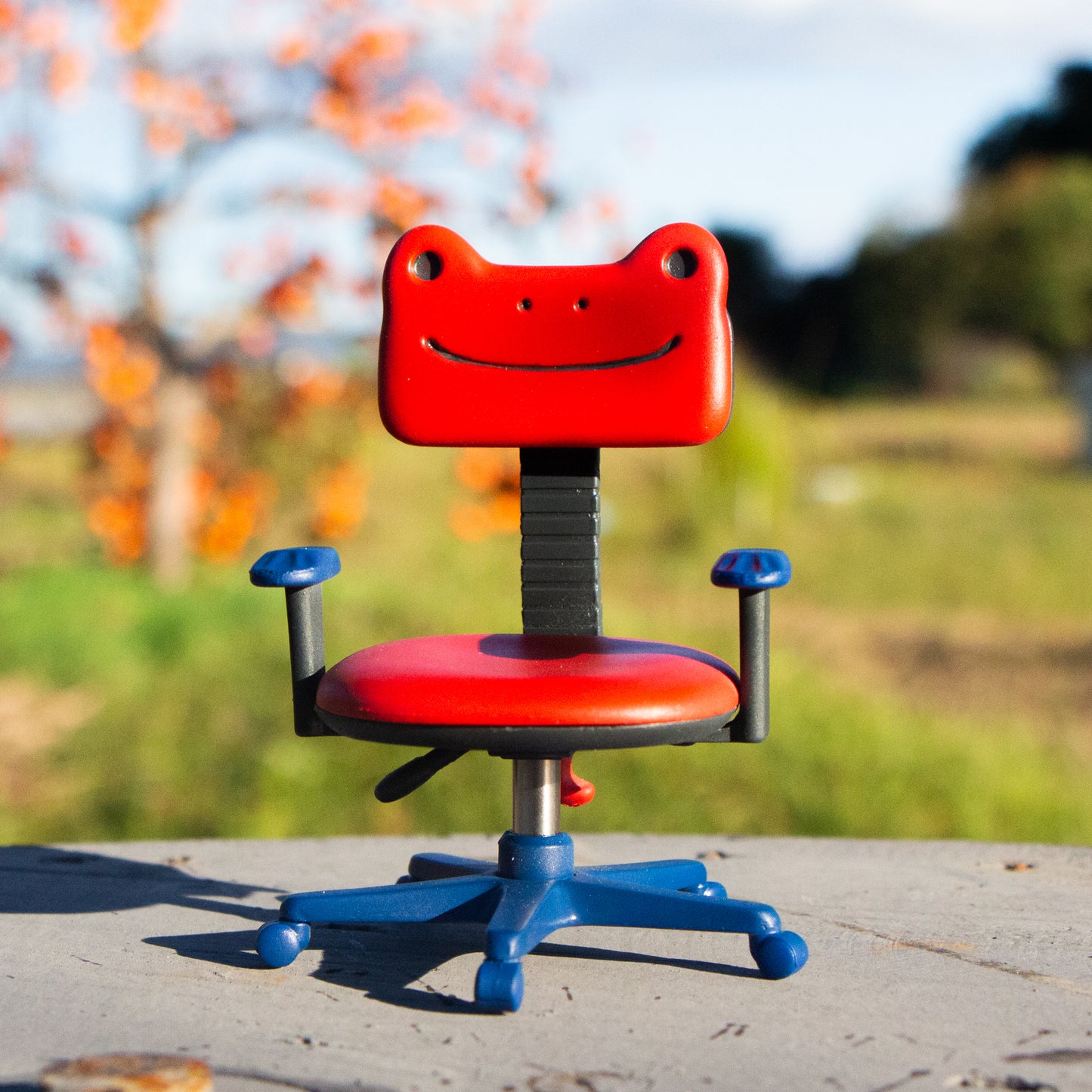 Chaise grenouille avec un joli visage